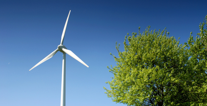 Windrad und Baum auf einer grünen Wiese mit blauem Himmel