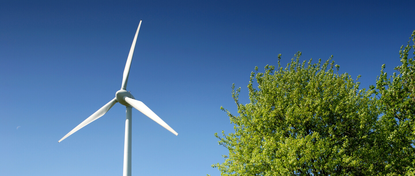 Windrad und Baum auf einer grünen Wiese mit blauem Himmel