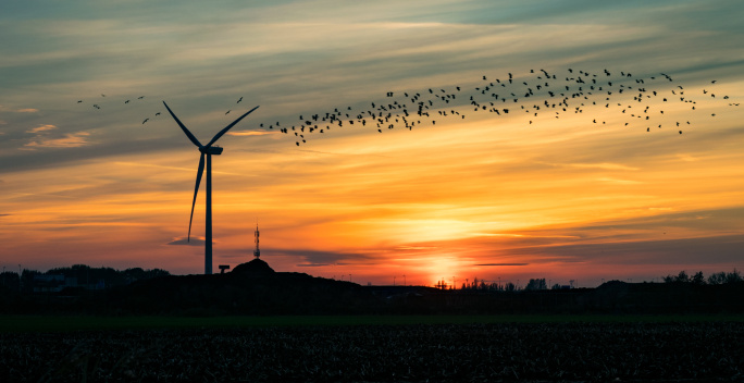 Landschaft mit Windrad bei Sonnenuntergang mit einem Vogelschwarm