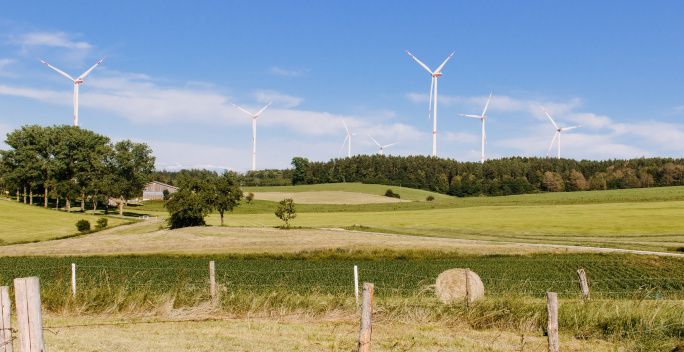 Landschaft mit Feldern im Vordergrund und Wald und Windrädern im Hintergrund.