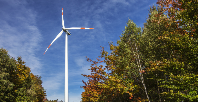 Ein Windkraftanlage steht in einem Waldgebiet unter blauem Himmel.
