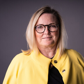 Profilbild von Kathrin Tarricone, MdL