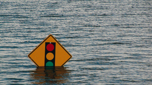 Die gesellschaftliche Unterstützung für Klimaschutz schwindet nicht aus Gleichgültigkeit, sondern aus wachsender Frustration.