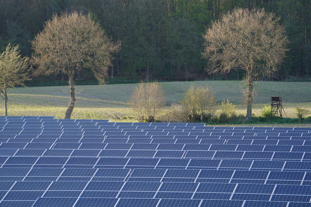 Solaranlagen müssen nicht immer so aussehen, sie können auch so gestaltet werden, dass sie einen Vorteil für die Biodiversität mit sich bringen. (Symbolbild)