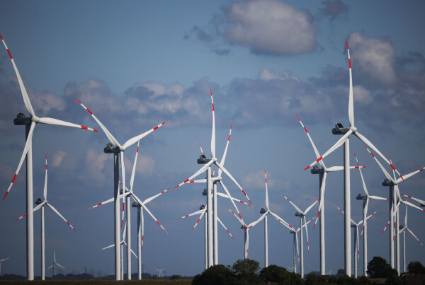 Die Windkraft war 2024 wichtigster erneuerbarer Energieträger in Schleswig-Holstein (Symbolbild).