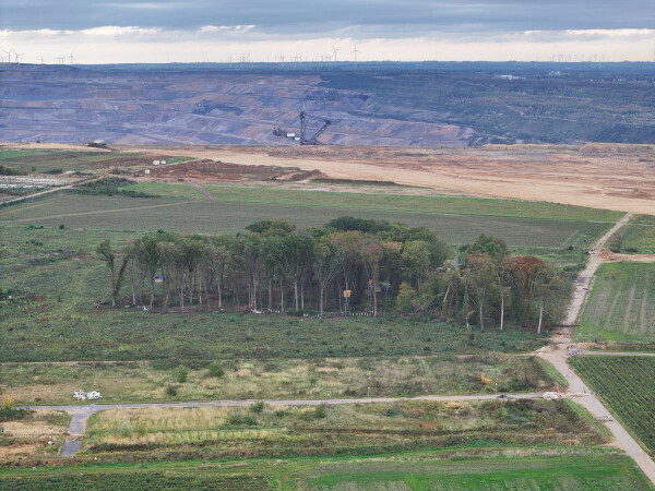 Auf dem noch verbliebenen rund ein Hektar großen Grundstück halten sich die Aktivisten seit Monaten in ihren Baumhäusern auf.