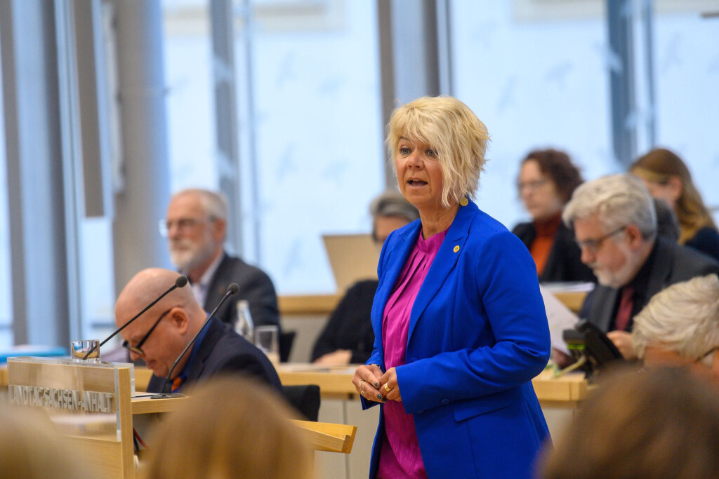 Wind- und Solarenergie müssten konsequent ausgebaut werden, damit man weniger von Öl und Gas abhängig sei, sagt Grünen-Fraktionschefin Cornelia Lüddemann. (Archivbild)