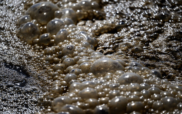Mit Partnern aus Wissenschaft, Behörden und Industrie stellt ein Verband im Burgenlandkreis die Weichen für eine nachhaltige Wasseraufbereitung. (Archivfoto)