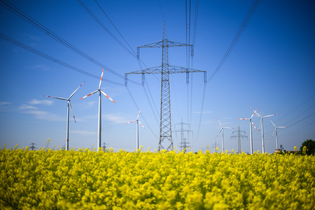 Der weitere Ausbau von Erneuerbaren und Stromnetzen soll ein großes Thema der Energieministerkonferenz werden. (Archivbild)