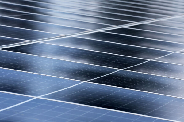 Sachsens CDU will Abholzungen für Solaranlagen stoppen. (Symbolbild)