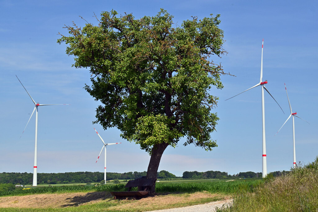 In keinem deutschen Flächenland wurden im ersten Halbjahr dieses Jahres weniger neue Windräder gebaut als in Thüringen. Laut Bundesverband Windenergie sind in Thüringen sechs neue Anlagen hinzugekommen. Lediglich im Saarland und den drei Stadtstaaten wurden gar keine Windräder gebaut. (Archivfoto)