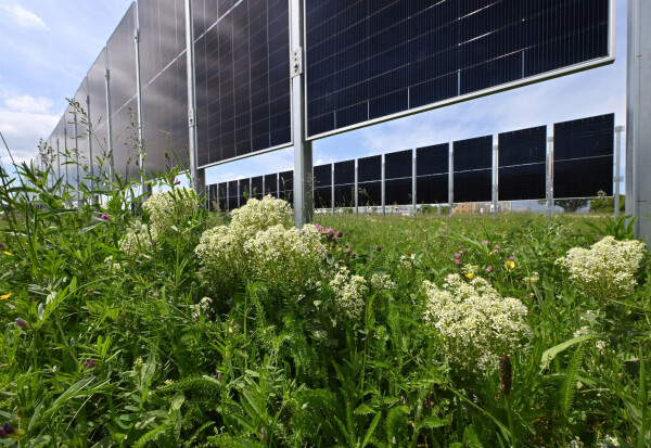 Wie kann Landwirtschaft und Energieerzeugung verbunden werden? - Testanlagen in Erfurt.