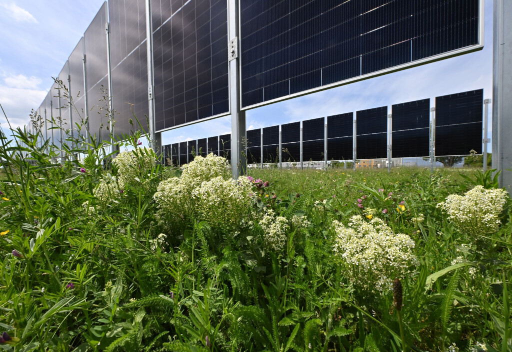 Wie kann Landwirtschaft und Energieerzeugung verbunden werden? - Testanlagen in Erfurt.