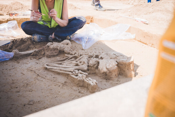Die Skelette werden in Handarbeit säuberlich freigelegt.
