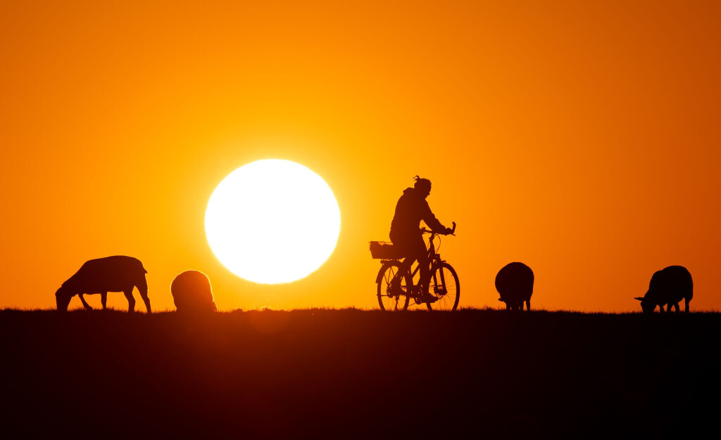 Laut WWF-Ranking sind die Radwege in Schleswig-Holstein gut ausgebaut (Symbolbild).